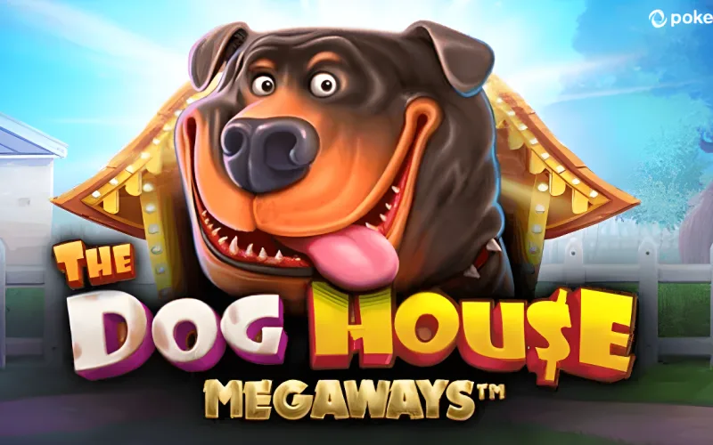 Enjoy The Dog House Megaways at 1Win a dynamic slot with sticky.